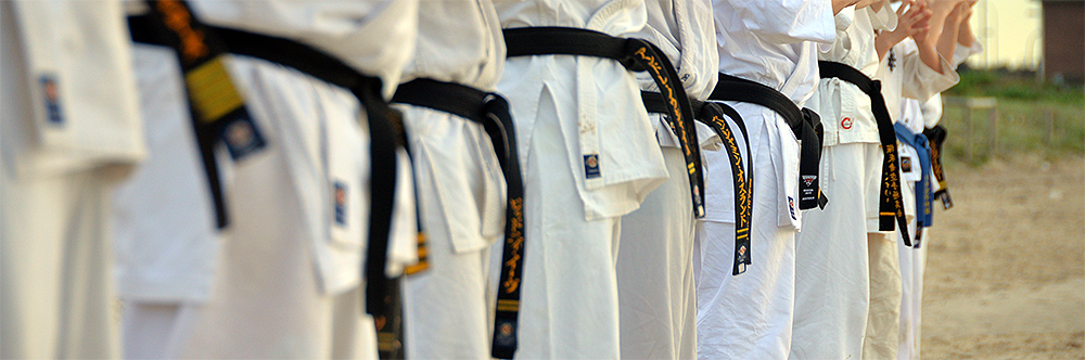 Row of karateka with black belts and fists